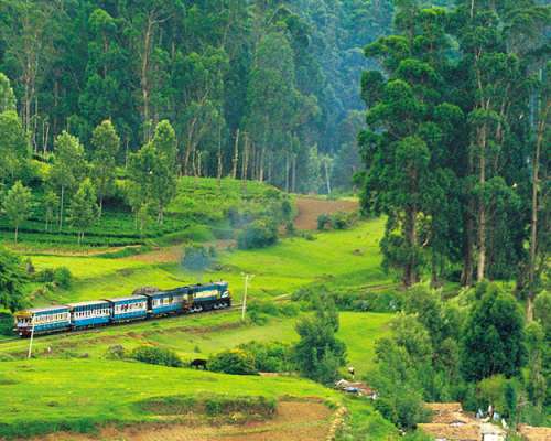 Ooty Tour from Bangalore